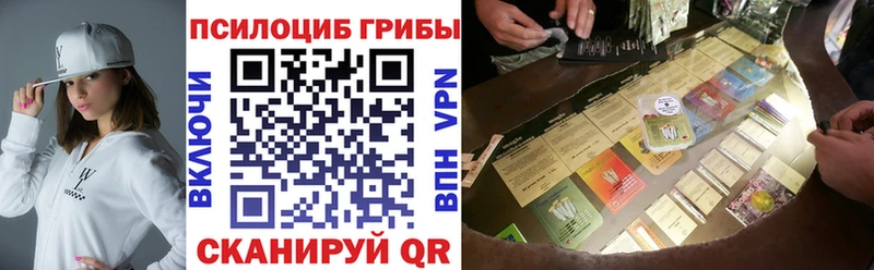 Галлюциногенные грибы Psilocybe  Зима 